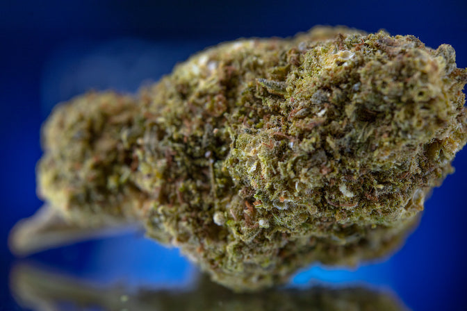 Pentaweed Kush 1g | das Beste aus Cannabinoiden und Terpenen