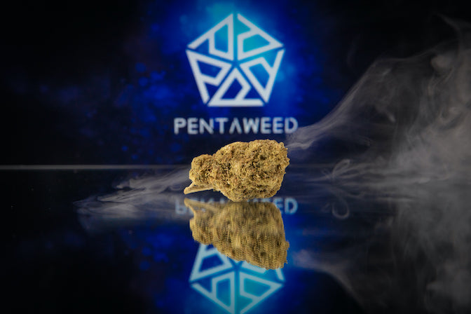 Pentaweed Kush 1g | das Beste aus Cannabinoiden und Terpenen