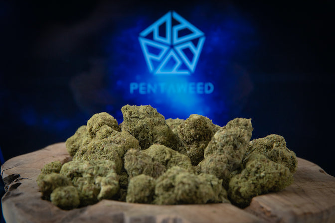 Pentaweed Kush 1g | das Beste aus Cannabinoiden und Terpenen